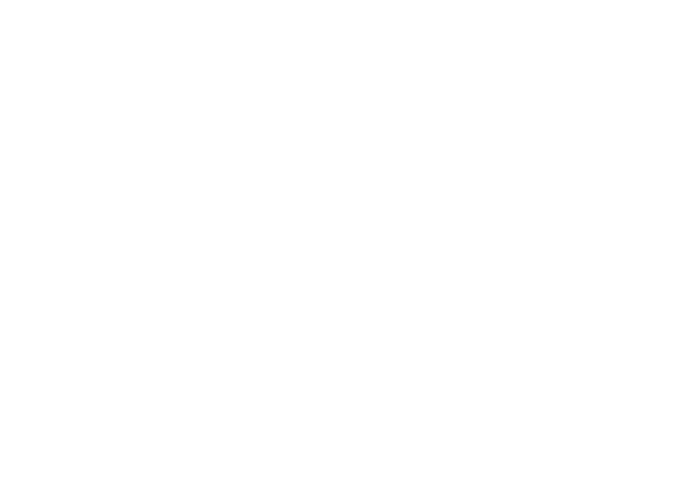Skamløst Nettverk